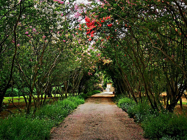 Gardens & Activities Area